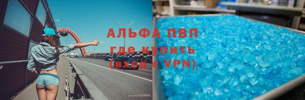 хмурый Гусев