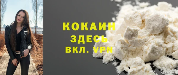 хмурый Гусев