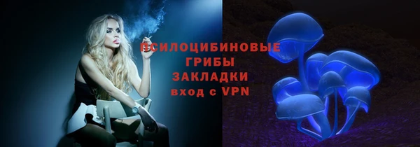хмурый Гусев
