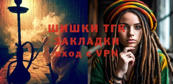 хмурый Гусев