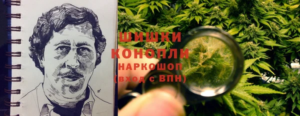 хмурый Гусев