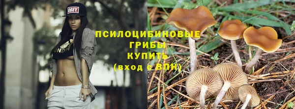 jwh Гусиноозёрск