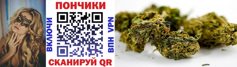 Бошки марихуана ГИДРОПОН  MEGA зеркало  Шумерля  что такое наркотик 